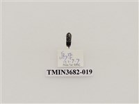 藏品(鞘翅目(2))的圖片